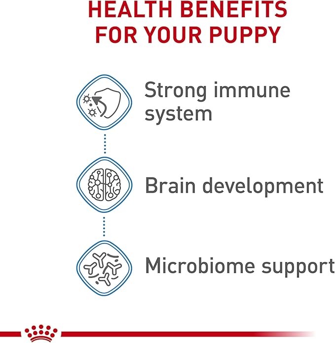 Royal Canin Size Health Nutrition Dry Large Breed Puppy Food, Supports Brain Development, Immune Support and Digestive Health, 30 lb Bag