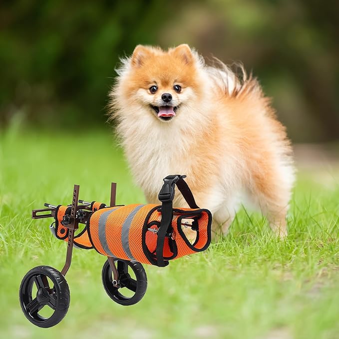 Aluminum Small Dog Wheelchair for Back Legs, 10-18lbs Pet Wheelchair, Removable Adjustable Dog Wheelchair, Lightweight Pet Supplies Doggy Wheelchair for Disabled Injured Dog Walking