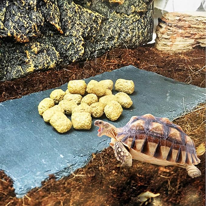 Tfwadmx Reptile Basking Platform Large Tortoise Feeding Bathing Area Turtle Original Rock Plate Grinding Nails Resting Terrace Habitat Decor for Amphibian Reptile Bearded Dragon Chameleon Snake