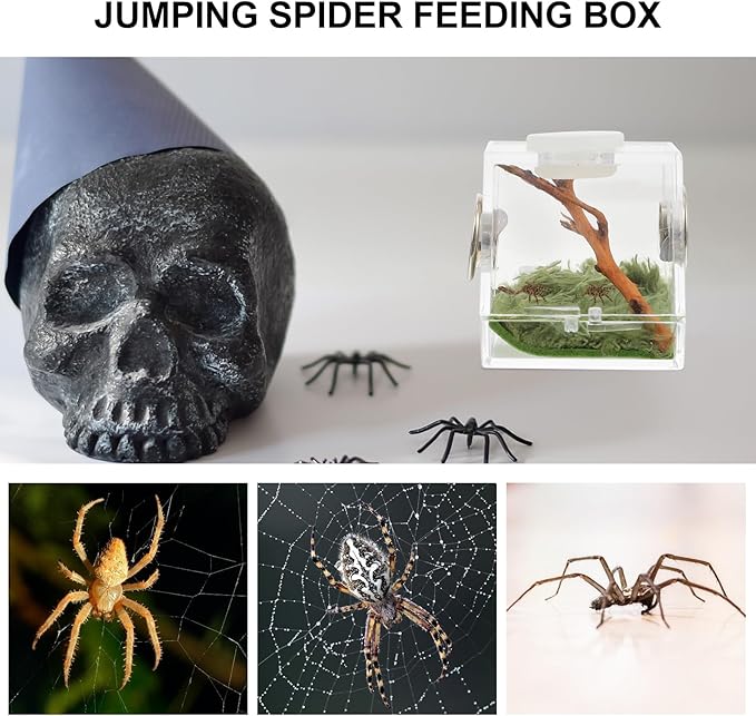 Mipcase 2pcs Jumping Spider Enclosure, Acrylic Spider Terrarium Transparent Jumping Spider Habitat for Jumping Spider Accessories