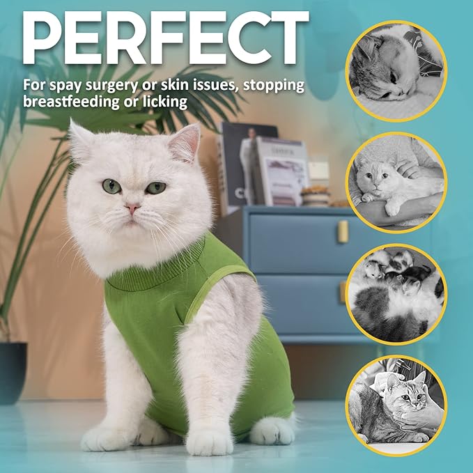 Avont Cat Recovery Suit - Kitten Onesie for Cats After Surgery, Cone of Shame Alternative Surgical Spay Suit for Female Cat, Post-Surgery or Skin Diseases Protection -Green(S)