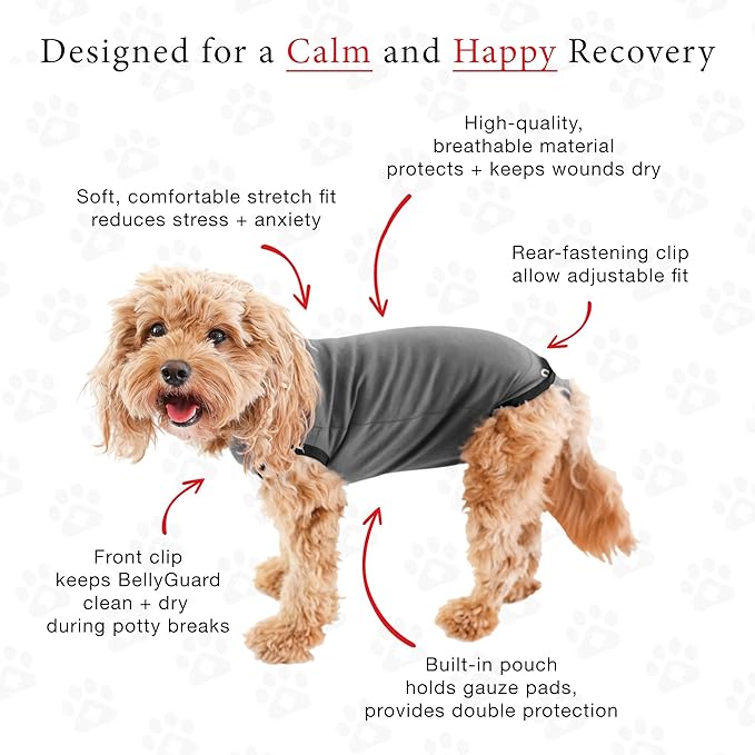 BellyGuard Recovery Suit for Dogs, After Surgery Dog Recovery Suit Female and Male, Soft Cotton Dog Surgery Suit Female Spay, Dog Surgical Recovery Suit Male Neuter, Comfy Surgical Onesie for Dogs.