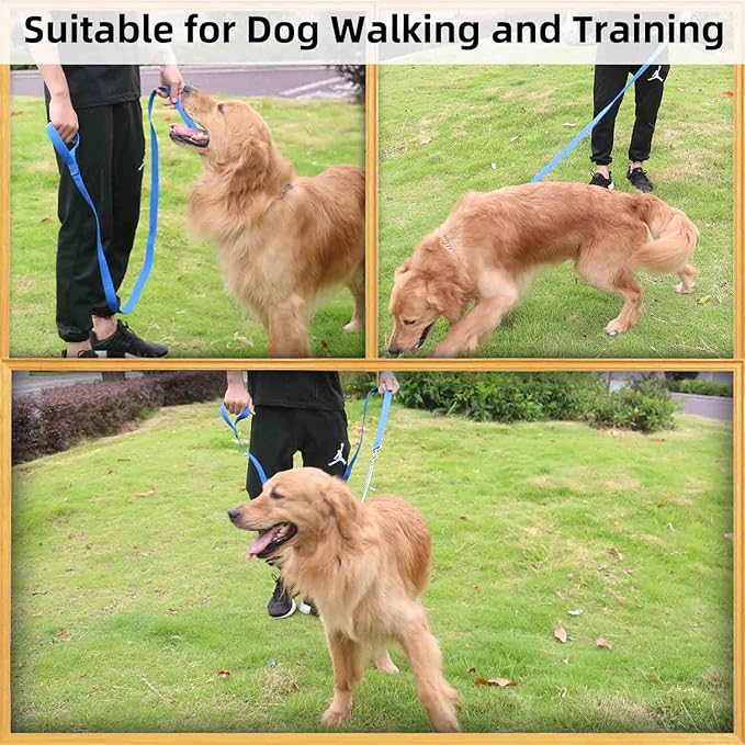 AMAGOOD 6 FT Puppy/Dog Leashes, Strong Traditional Style Leash with Easy to Use Collar Hook,Dog Lead Great for Small and Medium and Large Dog (3/4 in x 6 ft(Pack of 1), Blue)