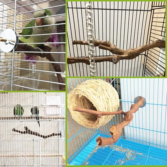 PINVNBY Bird Perch for Cage,3Pcs Parrot Perches Natural Grape Wood Birdcage Stands Pole 4Pcs Birds Toys Ball for Parakeet Lovebirds Budgies Cockatiels Finches