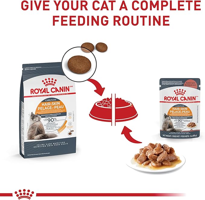 Royal Canin Hair & Skin Care Chunks in Gravy Wet Cat Food Pouch, 3 oz pouch (12-count)