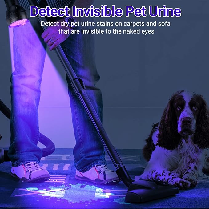 UV Flashlight Black Light, LOFTEK 51 LED 395 nm Blacklight Flashlite Pet Urine Detector for Dog Urine, Dry Stains, Bed Bug, Scorpion, Matching with Pet Odor Eliminator