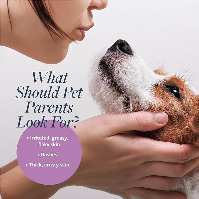 Vet's Best Healthy Coat Shed & Itch Relief Dog Supplements | Relieve Dogs Skin Irritation & Veterinary Formula Clinical Care Antiparasitic & Antiseborrheic Medicated Dog Shampoo