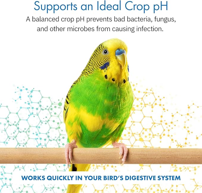 HealthyGut™ Avian Probiotics Dietary Supplement for Parrots, All-Natural Digestive System Formula (120 Servings)