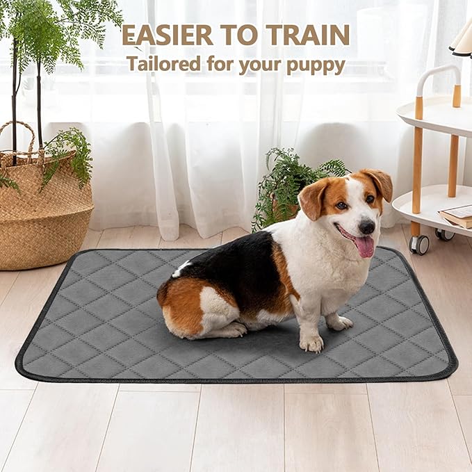 20X16.9 in Washable Pee Pads for Dogs, Litter Box Pads, Non-Slip Dog Pee Pads Fast Absorbent Waterproof Reusable pet Pads Dog Playpen Mat Great for Puppy, Cats, Bunny, Available for Tray