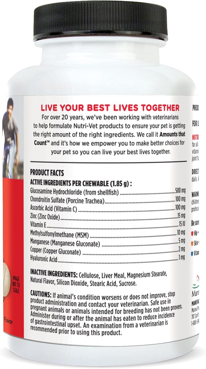 Nutri-Vet Hip & Joint Chewable Dog Supplements | Formulated with Glucosamine & Chondroitin for Dogs | 120 Count