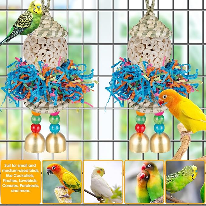 Conure Toys, Bird Toys Parrot Foraging Shredder Hanging Toys Sola Balls with Bell for Small Parrots Parakeets Cockatiel Conures Love Birds Budgie Cage Toy (Hat Boy Small)