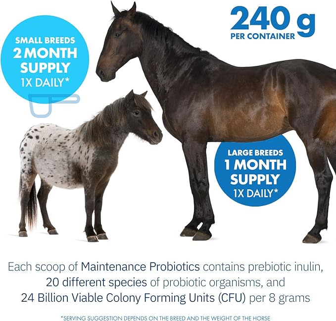 HealthyGut™ Probiotics for Horses Dietary Supplement, All-Natural Digestive System Maintenance Formula (30 Days)