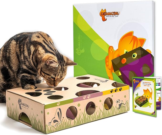 Classic – Cat Puzzle Feeder – Interactive Enrichment Toy – Treat Puzzle Box – Food Maze for Indoor Cats