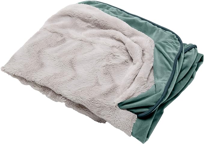 Furhaven Replacement Dog Bed Cover Perfect Comfort Plush & Velvet Waves Sofa-Style, Machine Washable - Celadon Green, Jumbo (X-Large)