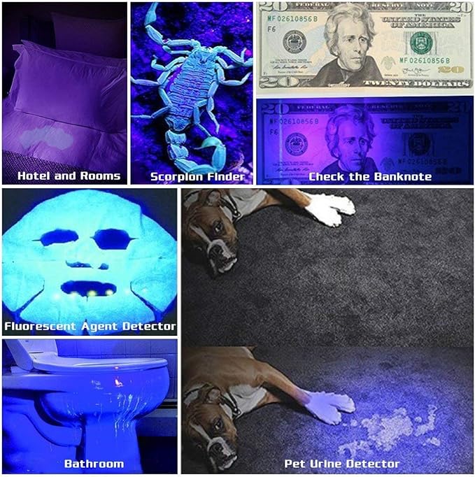 UV Flashlight Black Light, 100 LED Blacklight Flashlite Dry Pet Dog/Cat Urine Stains Detector, Bed Bug, Resin Curing, Scorpions Finder