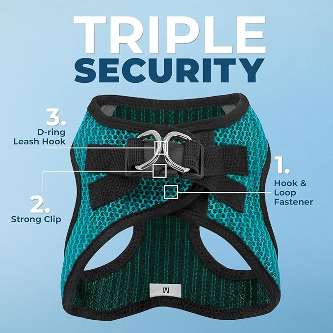 Voyager Step-in Air Dog Harness - All Weather Mesh Step in Vest Harness for Small and Medium Dogs and Cats by Best Pet Supplies - Harness (Turquoise 2-Tone), XL (Chest: 20.5-23")