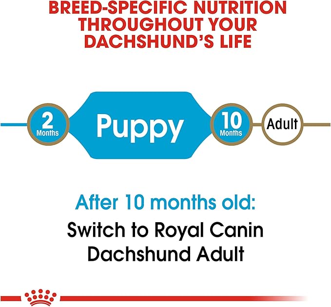 Royal Canin Dachshund Puppy Breed Specific Dry Dog Food, 2.5 lb Bag