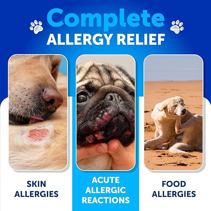 Dog Allergy Relief Chews - Itch Relief for Dogs - Fish Oil - Omega 3 - Itchy Skin Relief - Seasonal Allergies - Anti Itch Support & Hot Spots - Immune Health Supplement for Dogs