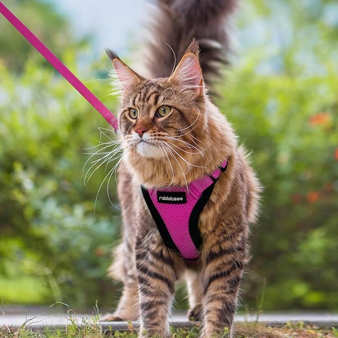 rabbitgoo Cat Harness and Leash for Walking, Escape Proof Soft Adjustable Vest Harnesses for Cats, Easy Control Breathable Reflective Strips Jacket, Rose Red, M