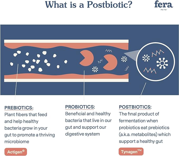 Fera Pets Postbiotics Plus for Dogs– Vet Created Dog Prebiotics & Postbiotics Supplement for Your Pet’s Digestive Health & Immune Support – 120 Scoops