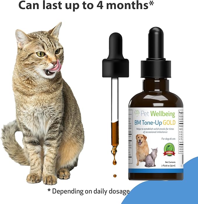 Pet Wellbeing BM Tone-Up Gold for Cats - Vet-Formulated - Diarrhea & Loose or Runny Stools - Natural Herbal Supplement 2 oz (59 ml)