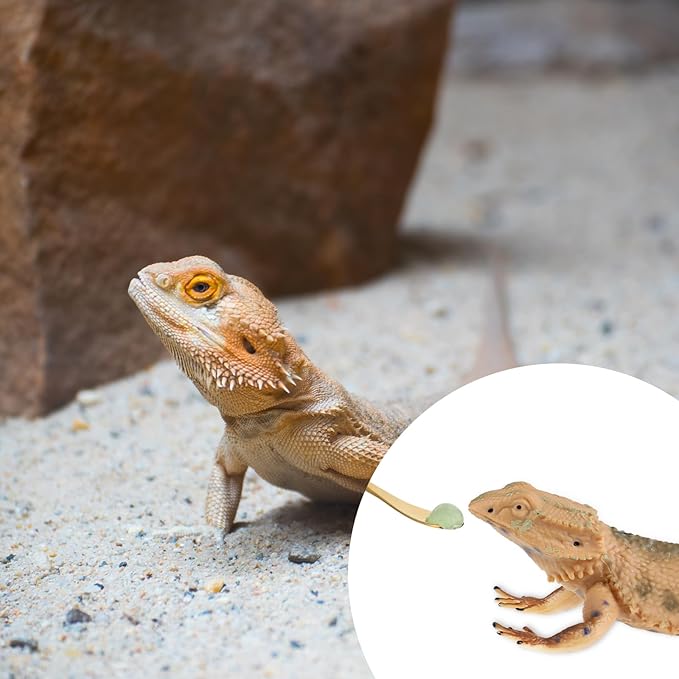 2Pcs Crested Gecko Food Spoons, 8.9" Long Handle Gecko Feeding Spoon, Stainless Steel Powder Fruit Mixing Stirring Food Feeding Spoons for Gargoyle Bearded Dragon