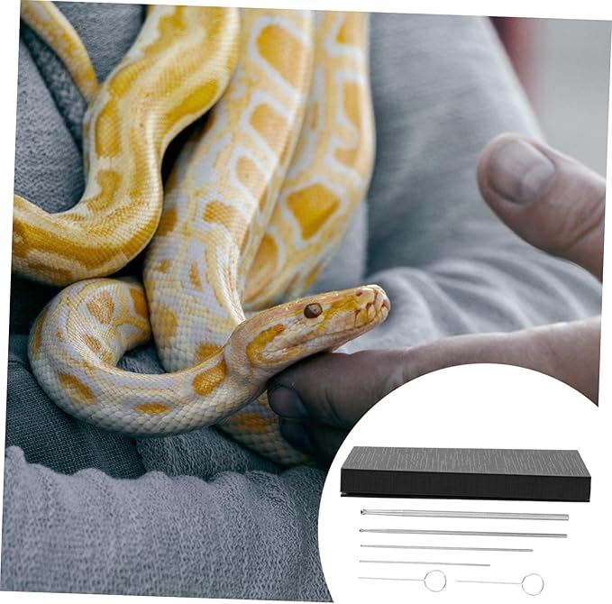 12 Pcs Snake Probe Snake Gender Detector Portable Reptiles Probe Snake Sexing Snake Probe Metal Gender Probe Reptile Supplies Stainless Steel Probe Snake Sexing Probe