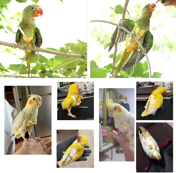 Bonaweite Bird Diaper Flight Suite Liners, Protective Parrot Nappy with Waterproof Inner Layer, Cute Urine Wet Suit for Macaw African Budgies Parakeet Agapornis Fischeri Cockatiel