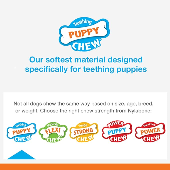 Nylabone Classic Puppy Chew Toy Twin Pack - Puppy Chew Toys for Teething - Puppy Supplies - Chicken & Peanut Butter Flavor, X-Small/Petite, 2 Count (Pack of 1)