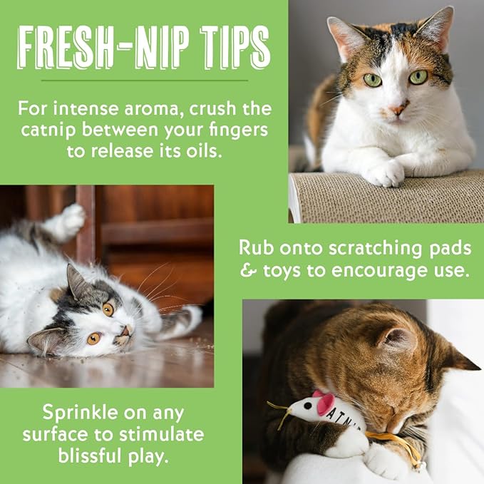 Van Ness Fresh-Nip Catnip, 1-Ounce