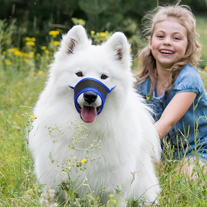 HEELE Dog Muzzle Nylon Soft Muzzle Anti-Biting Barking Secure,Mesh Breathable Pets Muzzle for Small Medium Large Dogs 4 Colors 4 Sizes (S, Blue)