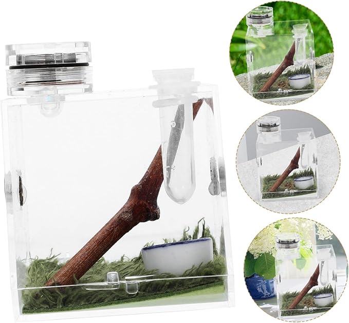 Mipcase 4pcs Box Jumping Spider Breeding Box Spider Habitat Cage Vivarium Tank Spiderling Enclosure Reptile Terrarium Lizard Terrarium Small Spider Enclosure Acrylic Wood Pet Little Spider