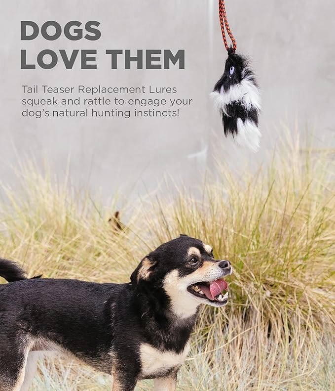 Outward Hound Tail Teaser Replacement Lure for Dog Teaser Wand, Beaver