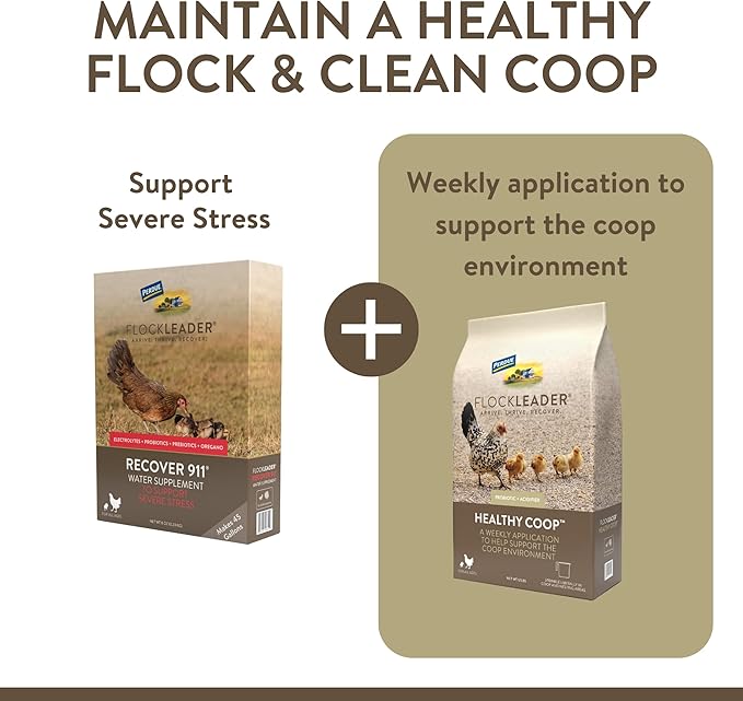 Recover 911, Severe Stress Probiotic Water Supplement for Chickens with Electrolytes, Prebiotics & Oregano, 8 oz