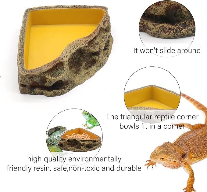 Reptile Feeder Resin Bowl Amphibian Reptile Bowl for Reptile Lizard Gecko Bearded Dragon Turtle