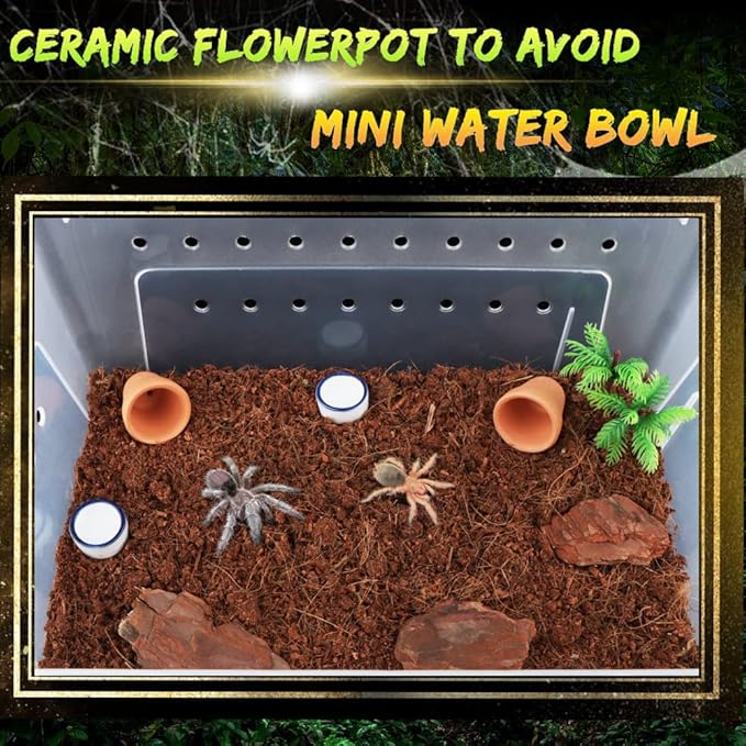 2 Pcs Spider Ceramic Small Hideout Shelter, with 6 Pcs Micro Water Bowl for Tarantula Scorpion Millipede Spider Tiny Reptile