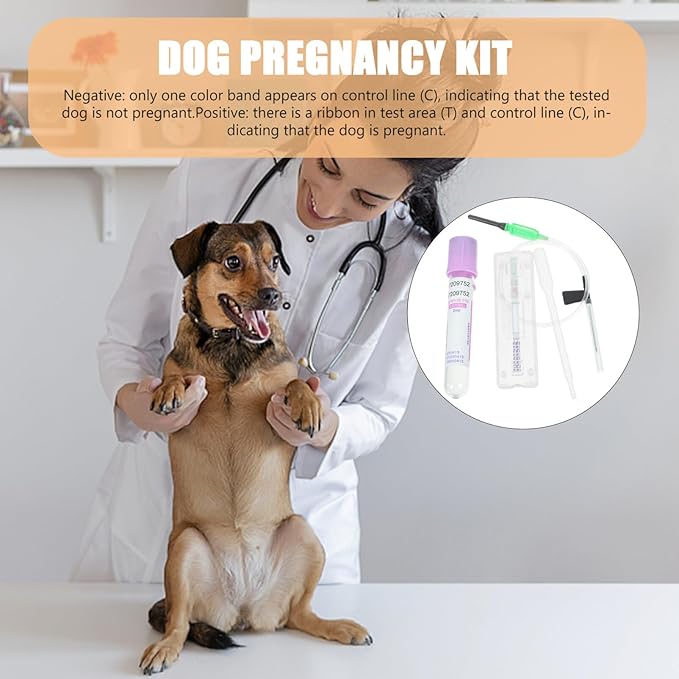 Dog Pregnancy Test Kit at Home, Fast Accurate Detection Pregnant Test Paper Strip for Dog, Cat Veterina Disposable Pet Clinic Equipment - Instructions are on The Details Page
