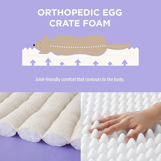 Lesure Orthopedic Dog Bed Sofa for Medium Dogs, Waterproof Dog Couch with Removable Washable Cover, Cute Aesthetic Pet Sofa Couch with Egg Crate Foam(28" x 23" x 10", Cream)