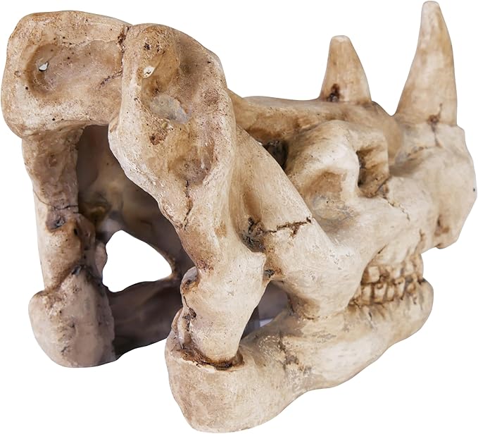 Penn-Plax Rhino Skull Aquarium Decoration - Aged Dinosaur Skeleton Décor – for Fish Tanks (RR1067)