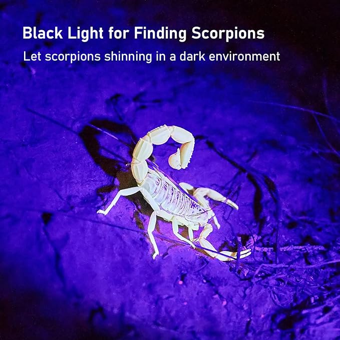 UV Flashlight Black Light, 100 LED Black Light Flashlight for Dog/Cat Pet Detector, Scorpions Finder