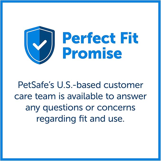 PetSafe Martingale Collar with Quick Snap Buckle, 1" Large, Black