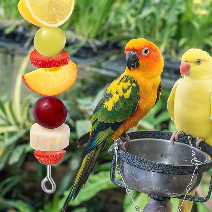 Bird Cage Food Holder Fruit Hanger 3Pcs, Parrot Fruit Vegetable Skewer Fruit Hanger Bird Cage Feeder Foraging Toy for Parakeet Budgie Macaw