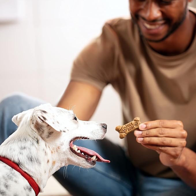 Milk-Bone Flavor Snacks Dog Treats, Small Biscuits, 7 Pound Crunchy Texture Helps Reduce Tartar (Pack of 2)