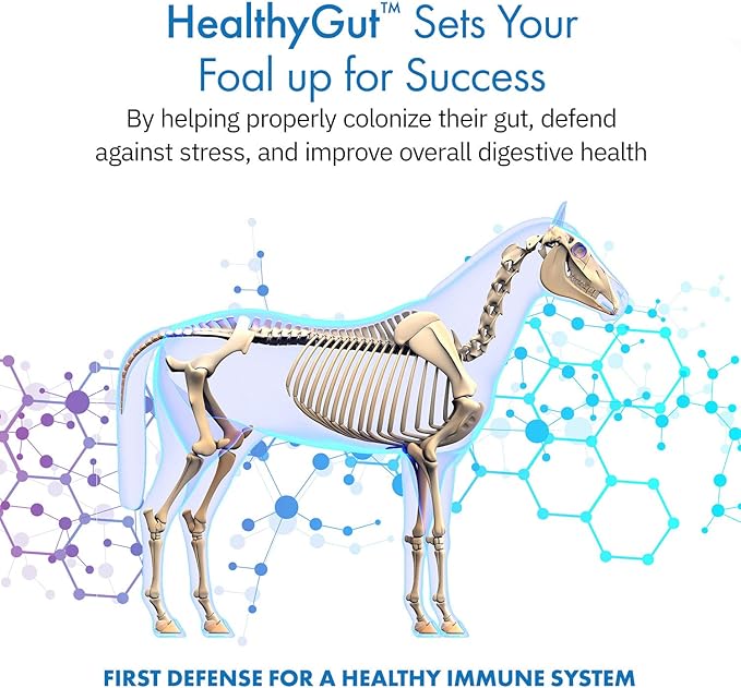 HealthyGut Foal Kit for Horses Dietary Supplement, All-Natural Formula (14 g)