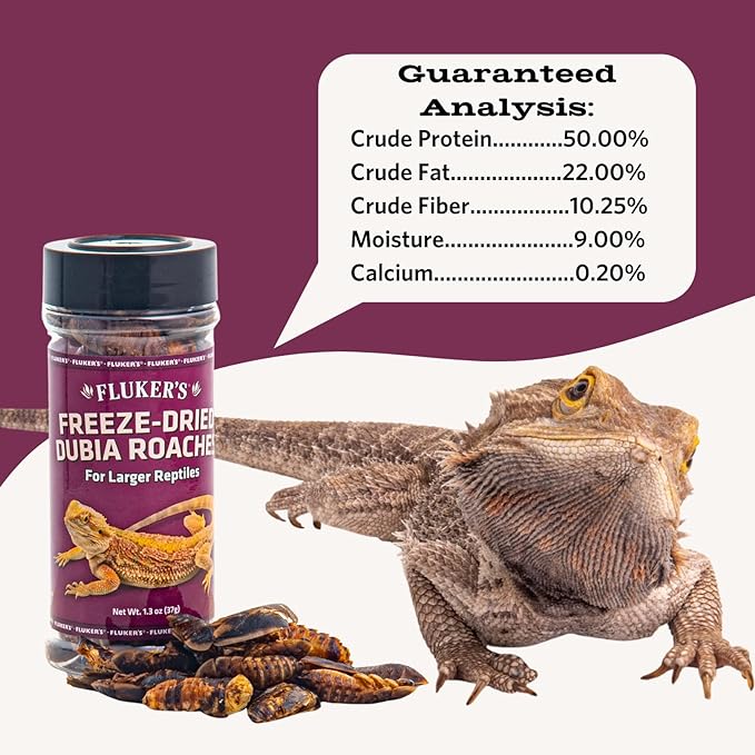 Fluker's Freeze Dried Dubia Roaches, Ideal for Lizards, Reptiles, Birds, Fish, Hedgehogs, 1.7 oz