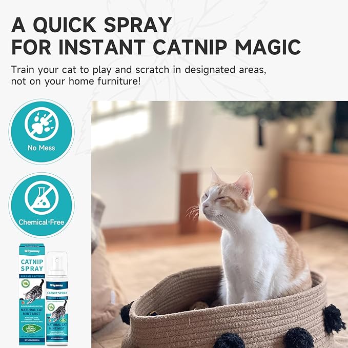 Catnip Spray for Cats, Catnip Spray for Indoor Cats, Catnip for Cats and Kittens, Natural Catnip, Mess-Free Kitten Catnip Mist Spray to Relieve Stress, Revitalizes Toys & Vitality, 6.76 Oz