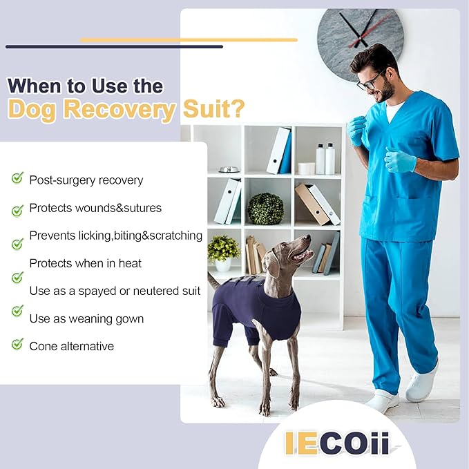 IECOii Dog Onesie for Surgery,Dog Surgery Suit Female Spay Recovery Suit for Medium Size Dogs,Dog Recovery Suit Male Pet Abdominal Anti Licking Shirt,Dog Bodysuit Alternative to Cone E-Collar,M-Blue