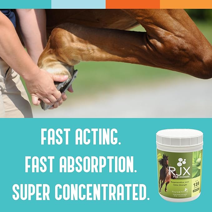 RJX for Horses - Triple Strength Glucosamine, Chondroitin, and MSM. Joint Supplement. Powder. 54 OZ