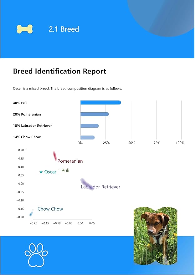 PetGen - Dog Breed, Health, Behaviour & Trait Identification Test Kit | at-Home Sample Collection Cheek Swab Kit | Full Genetic Test for Dogs| Results in 4 Weeks | No Extra Fees