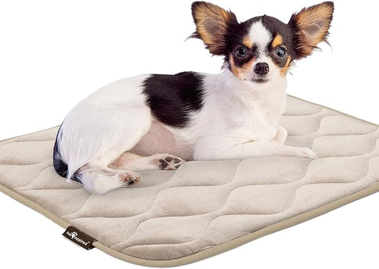 Paw Inspired Washable Padded Crate Mats for Dogs | 23” x 17” Pad, Fits 24-inch Kennels | Leakproof, Waterproof Bottom, Plush Pet Beds (Tan)